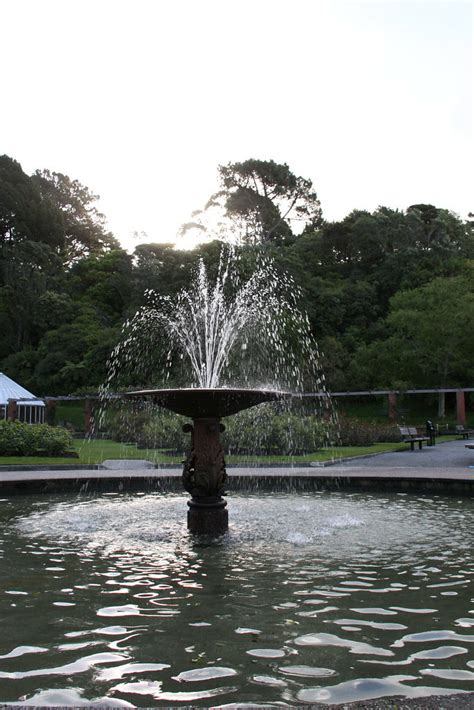 Img New Zealand Wellington Botanical Gardens Ben Cornelius