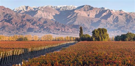 La Ruta Del Vino Mendoza Una Escapada Ideal Para Disfrutar Del Vino Y