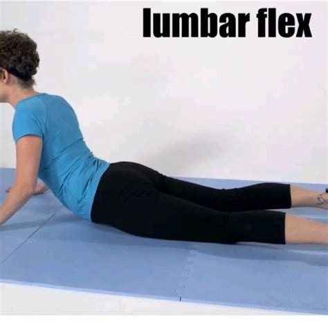 Lumbar Flex By Sammy K Exercise How To Skimble