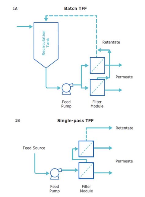 Single Pass Tangential Flow Filtration A Versatile Approach To