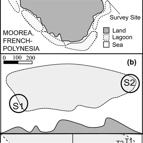 Locations Of Two Spawning Sites S1 And S2 Within A Lagoon On The Download Scientific Diagram