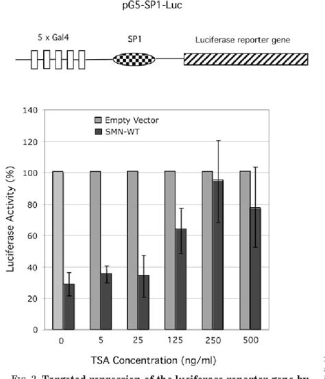 Figure From Survival Motor Neuron Smn Protein Interacts With