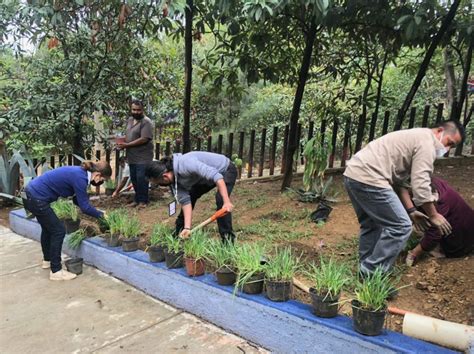 Realiza Secretaría De Administración Campaña De Reforestación En Los