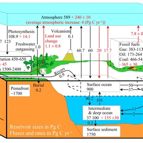 | Simplified diagram of the global carbon cycle. Numbers denote ...