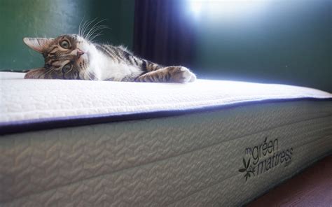 Save Up to $225 on My Green Mattress | Futurism