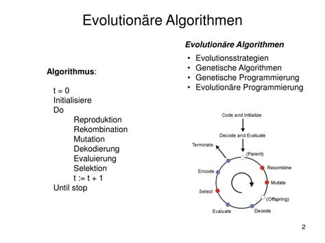 Ppt Anwendungen Evolution Rer Algorithmen Powerpoint Presentation