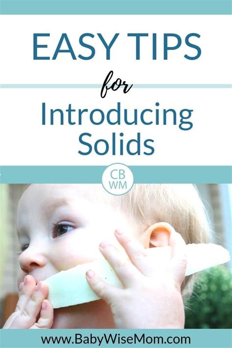 Easy Tips For Introducing Solids To Your Baby Babywise Mom