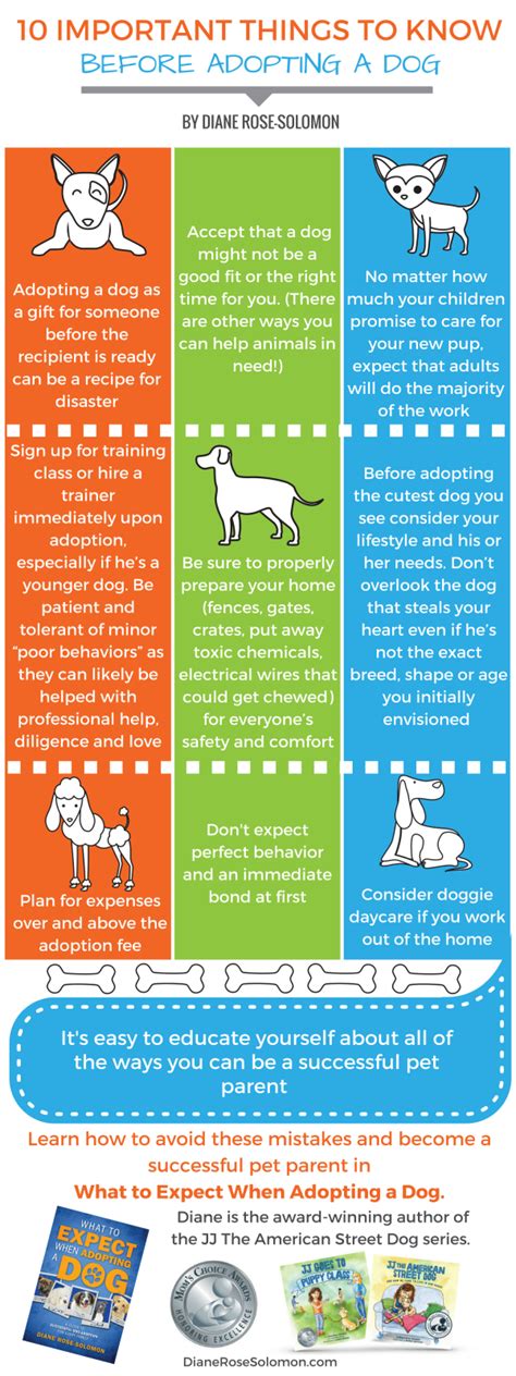 important     adopting  dog  pet blog lady celebrating