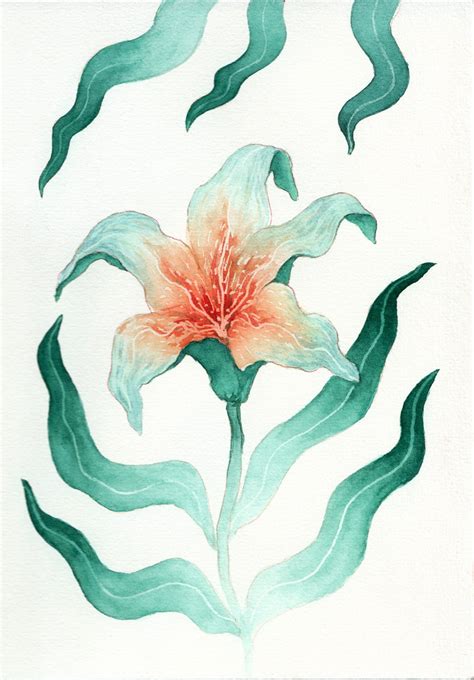 Illustration – Flaming Lily - Kasia Hebda Studio