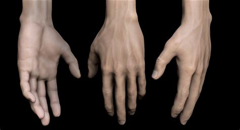 Artstation Realistic Hands Game Assets