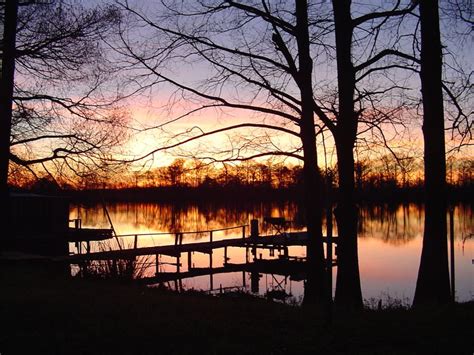 Louisiana Sunrise | Sunrise painting, Sunrise, Louisiana