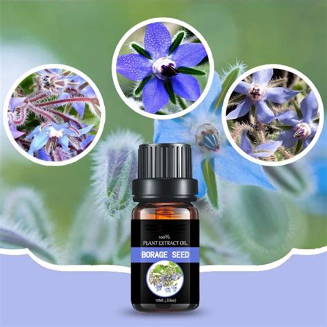 Borage Oil - Versatile Fragrance Essential