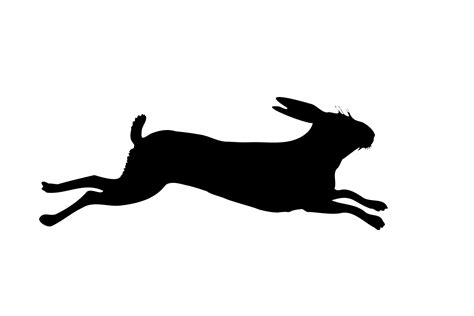 Rabbit Running Silhouette Free Stock Photo Public Domain Pictures