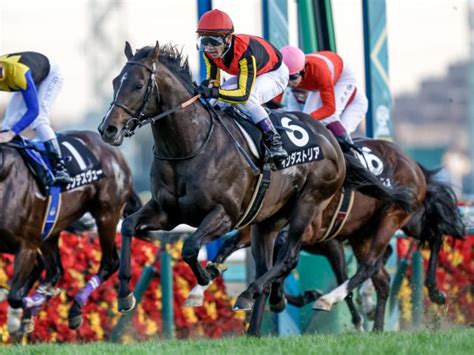 【東京新聞杯展望】東の古馬マイル開幕戦、あの馬の重賞初制覇に期待したい 競馬ニュース Netkeiba