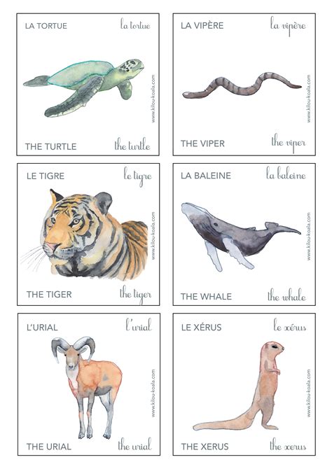 Apprendre Le Nom Des Animaux En Anglais Kilou