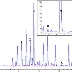 Typical Hplc Dad Chromatogram At Nm Showing Separation Of Phenolic