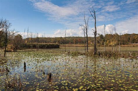 7 Ways to Enjoy Cuyahoga Valley Fall Colors - The National Parks Experience