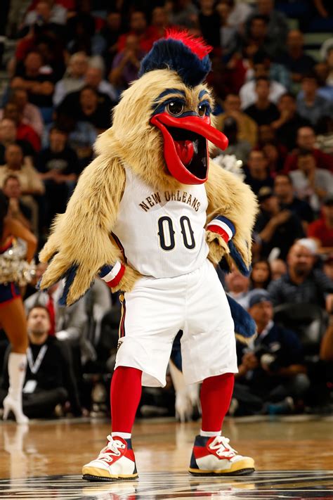 pelicans mascot kids