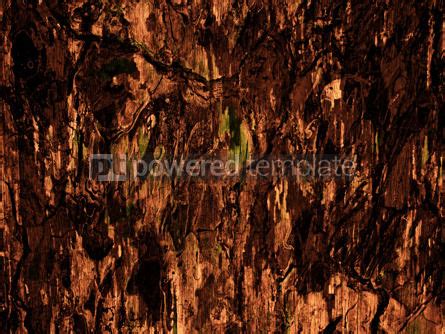 Dark Brown Wood Texture