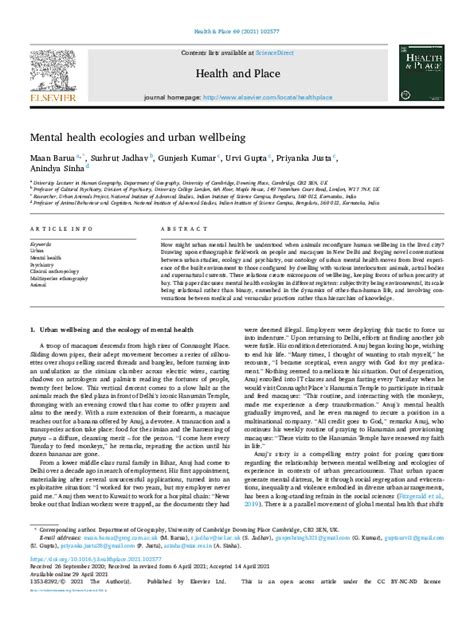 Pdf Mental Health Ecologies And Urban Wellbeing Sushrut Jadhav