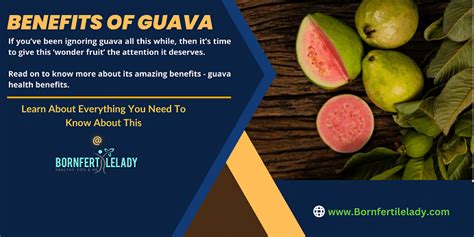 Guava Health Benefits You Need To Know