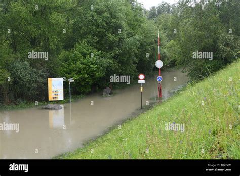 Ãœberschwemmung Und Hochwasser Des Rheins In Fussach Ãsterreich Am