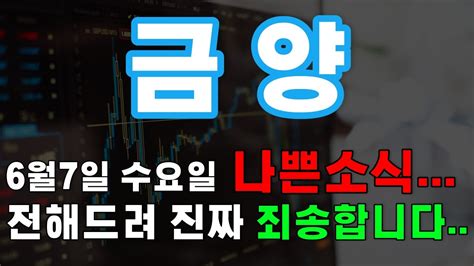 주가전망 금양 6월7일 수요일 나쁜소식 전해드려 진짜 죄송합니다 하지만 주주님들 꼭 확인하셔야돼요 Youtube