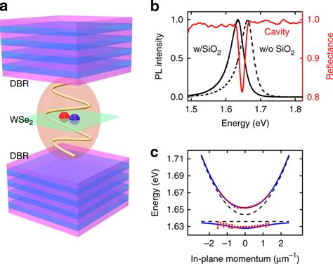 Device Architecture And Optical Characterization A Cavity Polariton