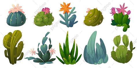 Nopal Icon Vector Png Vector Psd And Clipart With Transparent