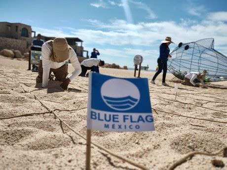 Certificaci N Blue Flag Para Playas De Los Cabos Con El De