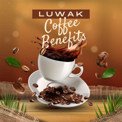 Delicious Luwak Coffee Recipe : Its Making and Benefits