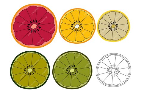 Premium Vector Vector Set Of Orange Fruits Whole Half And Cut Slice