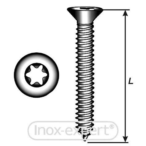 Lose Senkkopf Blechschrauben Torx DIN7982 ISO14586 A4 GFK