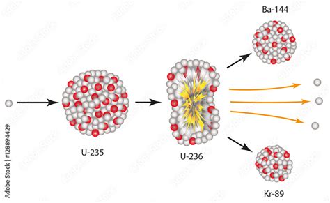 Kernspaltung Von Uran 235 In Ba 144 Und Kr 89 Stock Illustration