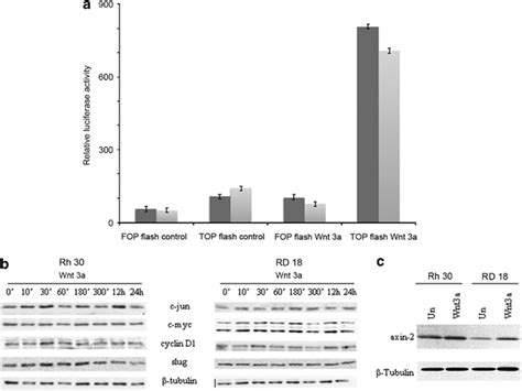 Functional Activation Of Wnt Signaling In Rms Wnt Responsive Gaussia