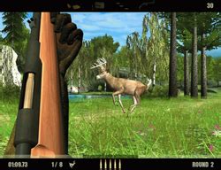 Free Deer Hunting Game - 3 Most Popular Deer Hunt Games For Children