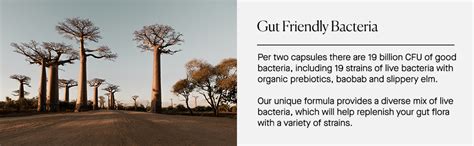 The Naked Pharmacy Gut Love Probiotic Prebiotic Supplements For Gut Health Bloating