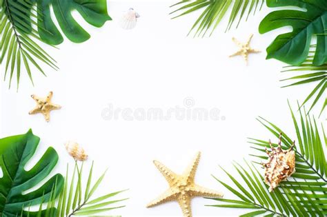 Summer Flat Lay Background Sea Vacation On White Stock Photo Image