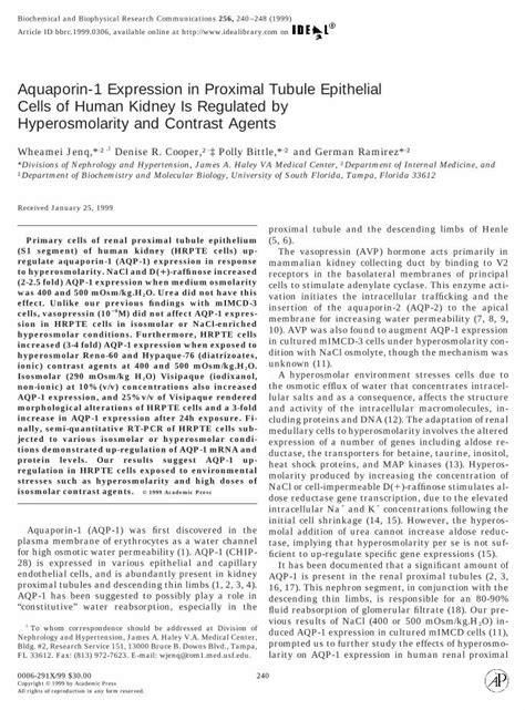 PDF Aquaporin 1 Expression In Proximal Tubule Epithelial Cells Of