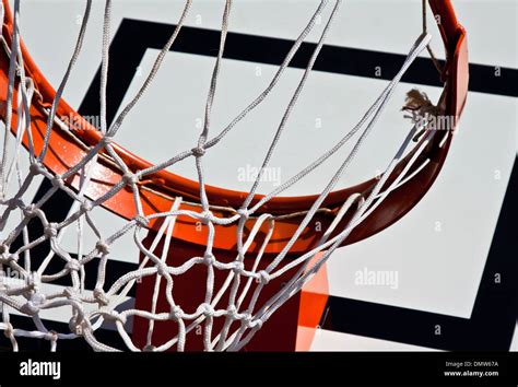 basketball rim and net placed outside Stock Photo - Alamy