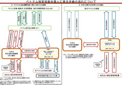 ベトナム人特定技能手続の推薦者表（moc）の要件と流れのポイント