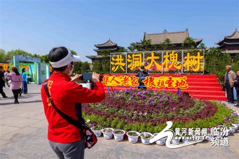 文旅临汾：来洪洞大槐树景区“趣味冲关 悦动五一” 黄河新闻网