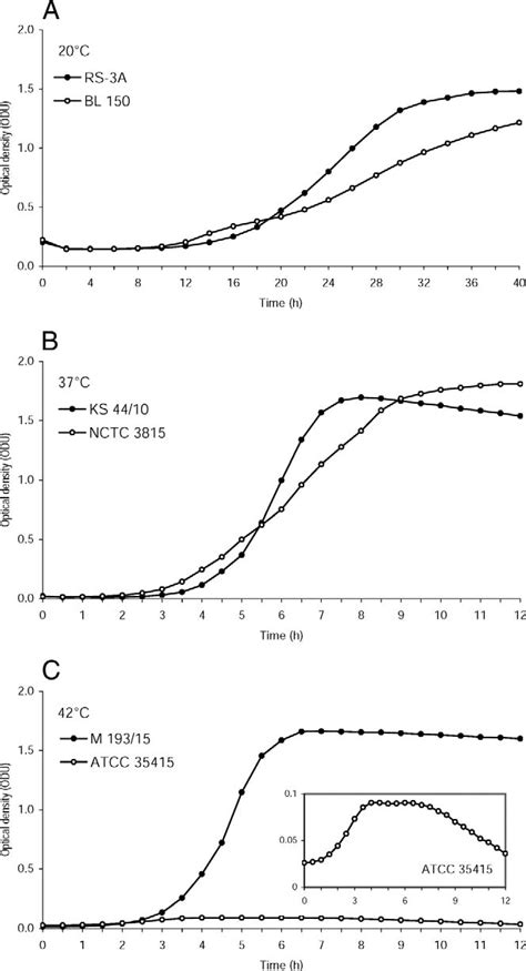 Growth Curves Of The Two Most Divergent Group I Clostridium Botulinum