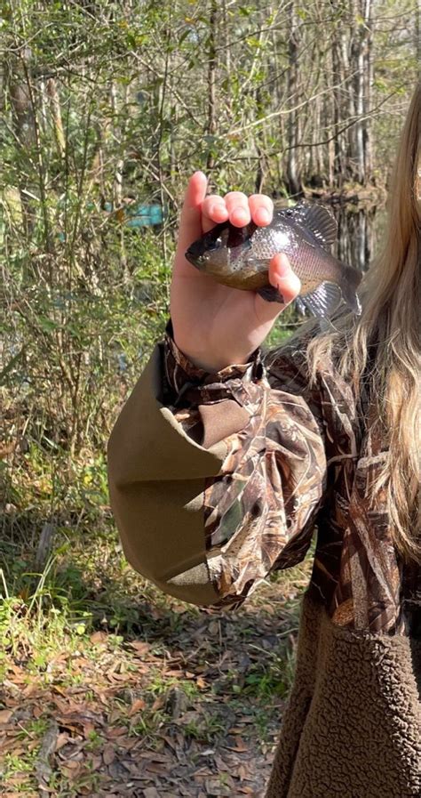 Bluegill baby 🤟🏼 in 2022 | Bluegill