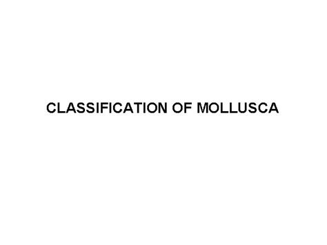 CLASSIFICATION OF MOLLUSCA The word Mollusca is derived