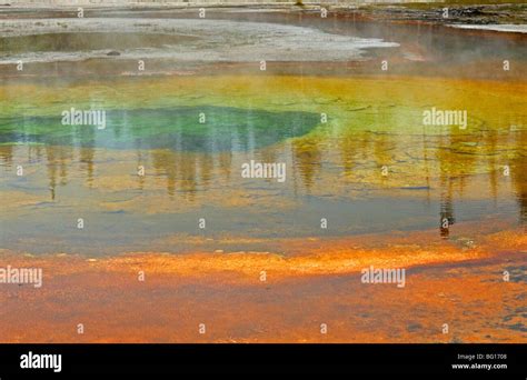 Hot Spring In Yellowstone National Park Stock Photo Alamy
