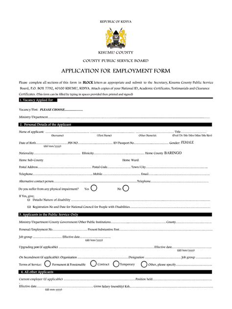 Kisumu County Job Application Form Fill Online Printable Fillable Blank Pdffiller