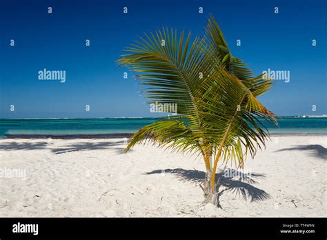 Bavaro Beach Dominican Republic Stock Photo - Alamy