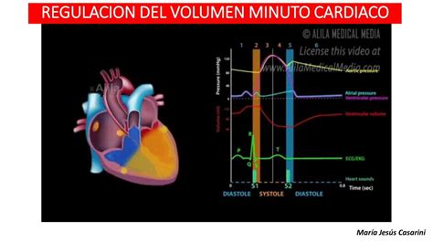 Regulacion Vm Juliana Alc Ntara Udocz