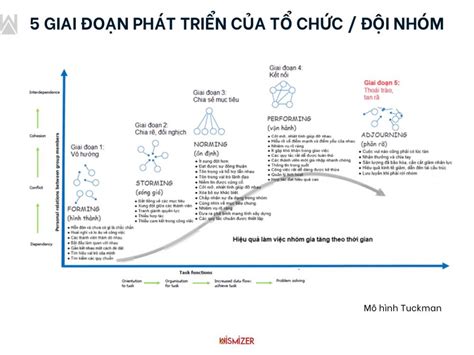 5 Giai Đoạn Phát Triển Nhóm Bí Quyết Xây Dựng Nhóm Hiệu Quả